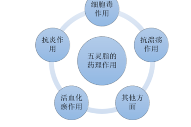 【社群福利】限时资源下载:《数学思想方法导引》系列(小初高3册)
